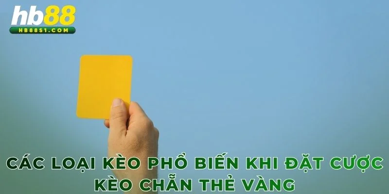 Các loại kèo phổ biến khi đặt cược kèo chẵn thẻ vàng